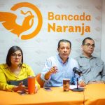 bandada naranja 20230912